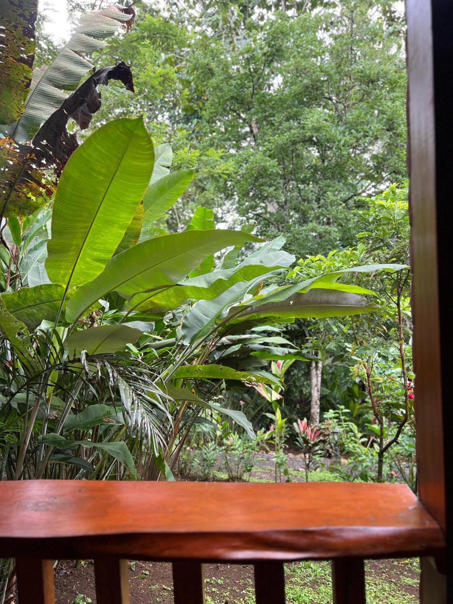 Arenal Rustic Lodge Ла Фортуна Экстерьер фото